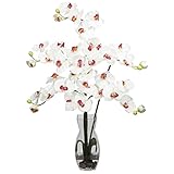 Nearly Natural 1191-WH Phalaenopsis with Vase Silk Flower Arrangement White [並行輸入品]