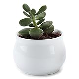 T4U 7CM 陶器鉢 白 ジャーシェイプデザイン 多肉植物 サボテン鉢 フラワーポット プランター容器