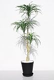 インテリアグリーン人工観葉植物・新ユッカ120黒鉢、光触媒品受け皿付き