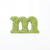 A plus floral art インテリアグリーン イニシャルモス 小文字 [ m ] アルファベット オブジェ 置物 苔 イニシャル 雑貨 北欧風 インテリア