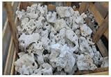 天然砂利 珊瑚(サンゴ) 20kg (#50)
