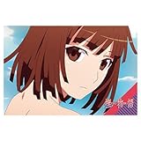 ＜物語＞シリーズ オフ＆モンスターシーズン ウエハース [28.ストーリーカード](単品)バンダイ※カードのみです。お菓子は付属しません。