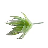 Homyl 人工多肉植物　生き生き　ミニチュア　プラスチック　贈り物　５タイプ選べる - タイプ１