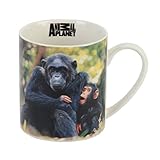Animal Planet Photographic Mug - Chimpanzee by Animal Planet