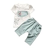 Cutelove 子供服 Tシャツ 半袖 Tシャツ＆パンツ 上下セット ショーツ 男の子 ベビー ショートパンツ ショートスリーブ 可愛い 恐竜プリント 夏