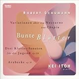 �V���[�}�j�A�[�i11