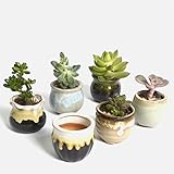 【Alimama】 陶器鉢 韓国風 多肉植物 サボテン 鉢 フラワーポット ミ二植木鉢 6個入り (流れ釉)