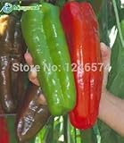 200種子/バッグジャイアントレッドペッパーホットスパイススパイシーチリペッパー種子植物の家の庭の植物