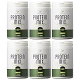 ウッドノート・プラス プロティン ミックス 500g 抹茶 6本セット