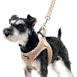 PUPTECK 犬 ハーネス リード セット 抜けない 胴輪 調整可能 軽量 メッシュ 通気性 ソフト 快適 着脱簡単 反射材付き 引っ張り防止 喉に優しい 耐久性 散歩 アウトドア 安全 老犬介護 しつけ おしゃれ 超小型犬 小型犬 中型犬 柴犬（ベージュ, Mサイズ）