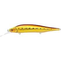 Amazon.co.jp: メガバス(Megabass) X-80 MAGNUM+1 GG アカキンイワシCH
