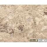 サンゲツ 店舗用クッションフロア フラッグストーン 柄番CM-2235 サイズ 200cm巾×4m