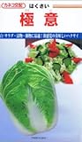 カネコ種苗　ハクサイ　極意　10ml
