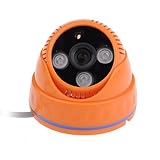 Neewer? Orange Night Vision 3mil LED 6MM 600TVL CMOS PAL CCTV Camera SV-318-K600R [並行輸入品]