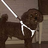 ペティオ (Petio)犬用引き紐 フラッシュソフトリード S ピンク