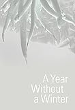 A Year Without a Winter