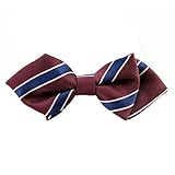 子供用 ドット柄 蝶ネクタイ ボウタイ 蝶タイ 子供服 入学式 卒園式 (赤いストライプ)