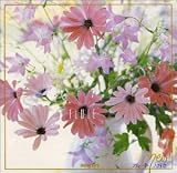 New �t���[�g��D��