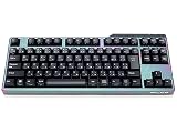 FILCO Majestouch Convertible 3 漆彩虹モデル 静音赤軸 テンキーレス 日本語配列 91キー Bluetooth無線＆USB有線両対応 DIPスイッチ