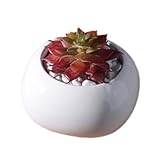 ガーデンデスクミニホワイトセラミックフラワーコンテナポットプランター - D08