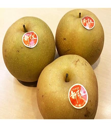 Amazon.co.jp: 梨 鳥取 新甘泉 秀品 5kg 12玉～16玉入 糖度14度前後