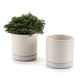 T4U 7.5CM 陶器鉢 カメオブラウンシリーズ ラウンド 多肉植物 サボテン鉢 フラワーポット プランター容器 受け皿付き ベージュ 2個入りセット