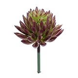 Dovewill 観葉植物　エケベリア　枯れない　人造　人工植物　飾り物　紫