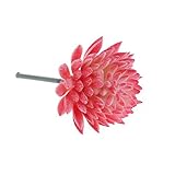 SONONIA 　2個入り　赤い　人工観葉植物　人工　ジューシー　ミニ　蓮の花　植物　家庭菜園　バルコニー　装飾