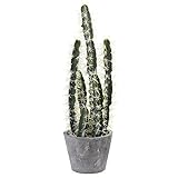 Nearly Natural 4845 Decorative Cactus Garden with Cement Planter by Nearly Natural