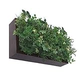 SHIBAFU3 Brown Frame 150×300