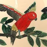 Sun Conure鳥装飾セラミック壁アートタイル4 x 4