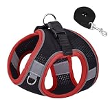 grooblue 犬 ハーネス リードセット 小型犬 中型犬 猫用 通気メッシュ 抜けない 軽量 着脱簡単 引っ張り防止 反射付き 調整可 散歩用 かわいい おしゃれ (ブラック＆レッド S)