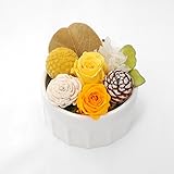 パラボッセ プリザーブドフラワー プチフール ハニー Honey