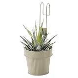 Paseo Tin Bucket TN-22MG