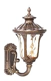 Livex Lighting 7652-50 Outdoor Wall Lantern with Hand Blown Light Amber Water Glass Shades, Moroccan