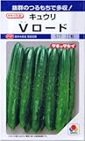 【種子】きゅうり Vロード 約12粒