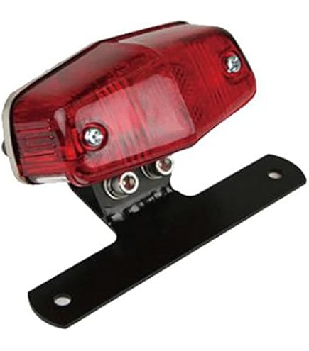 Amazon | デイトナ(Daytona) ショートリアフェンダー ステンレス 250TR