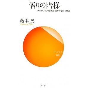 悟りの階梯―テーラワーダ仏教が明かす悟りの構造 (サンガ新書) 悟りの階梯―テーラワーダ仏教が明かす悟りの構造 (サンガ新書)