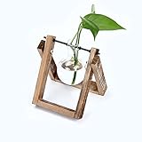 CA Mode(JP) 卓上 花瓶 木製枠 ガラス 水耕栽培 花器