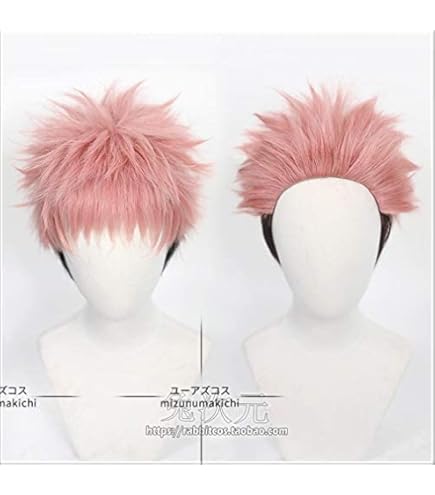 呪術廻戦　脹相　ウィッグ Amazon.co.jp: 呪術廻戦 脹相 コスプレ ウィッグ 専用ネット付風 : ホビー
