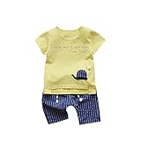 Tovadoo 子供服 ベビー服 男の子 トップス+ズボン 春夏 半袖 英字 亀柄 ストライプ 多色 可愛い プレゼント 通学 旅行 海遊び 12ヶ月-3歳