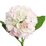 High-end Real Touch Latex Hydrangea Home/Wedding Flower Decor Real Touch Moisturizing Hydrangea Flow