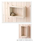 ケース ラック ボックス 木製 ポッシュリビング 40569 ディスプレイボックス