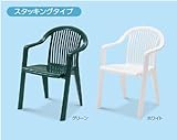 テラモト ガーデンフィジーアームチェア MZ-595-350 グリーン