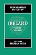 The Cambridge History of Ireland