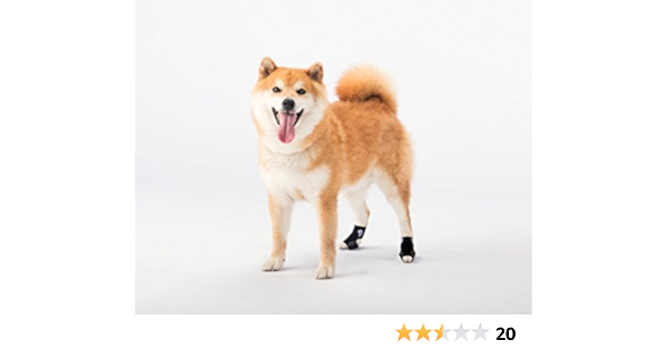 Amazon アニフル Anifull アニサポ ナックルン New M アニフル Anifull ヘルスケア 通販