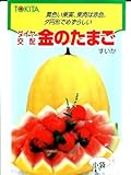 金のたまご　トキタ種苗の小玉スイカ種です