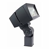 RAB Lighting FFLED39SF Future Flood 39W Cool LED Slipfitter, Bronze [並行輸入品]