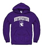 Northwestern Wildcats大人用アーチとロゴフード付きスウェットシャツ – パープル L