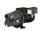Red Lion PWJET50 Shallow Well Jet Pump [並行輸入品]